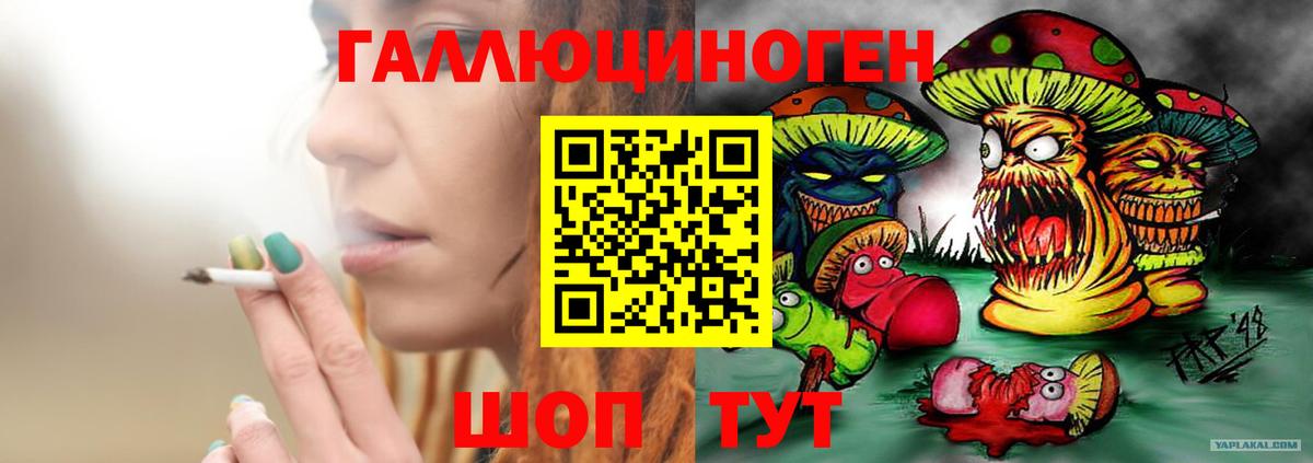 Псилоцибиновые грибы мицелий Малгобек